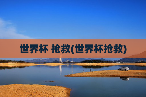 世界杯 抢救(世界杯抢救)