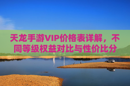 天龙手游VIP价格表详解,不同等级权益对比与性价比分析