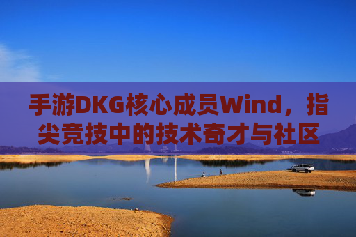 手游DKG核心成员Wind,指尖竞技中的技术奇才与社区桥梁