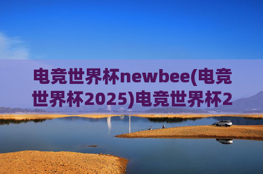 电竞世界杯newbee(电竞世界杯2025)电竞世界杯2025,Newbee的竞技征程与荣耀传承