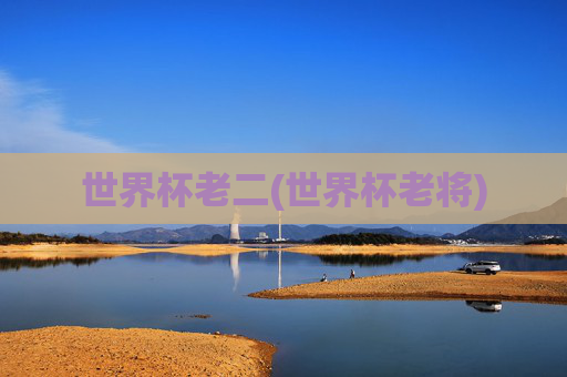 世界杯老二(世界杯老将)