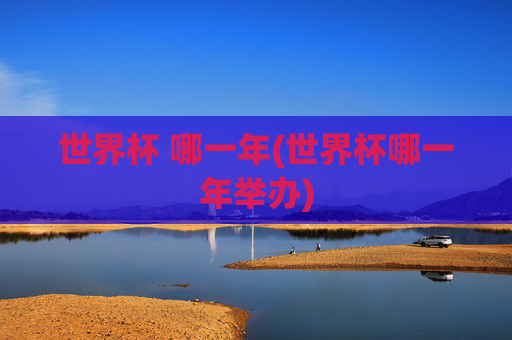 世界杯 哪一年(世界杯哪一年举办)