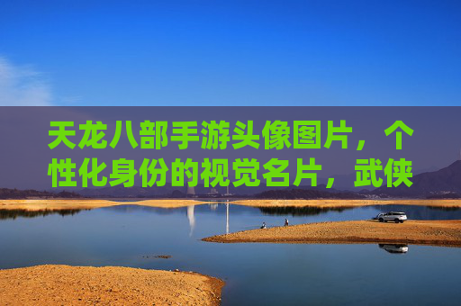 天龙八部手游头像图片,个性化身份的视觉名片,武侠风味的独特表达,天龙八部手游头像,个性化身份的视觉名片,彰显武侠韵味