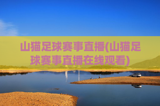 山猫足球赛事直播(山猫足球赛事直播在线观看)