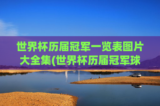 世界杯历届冠军一览表图片大全集(世界杯历届冠军球队)