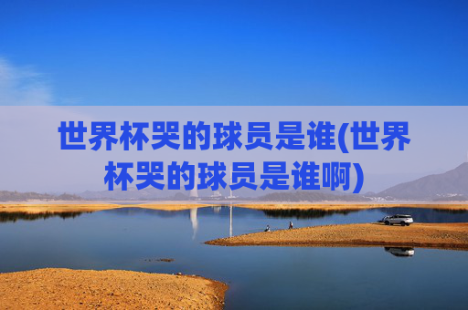 世界杯哭的球员是谁(世界杯哭的球员是谁啊)