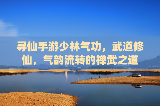 寻仙手游少林气功，武道修仙，气韵流转的禅武之道