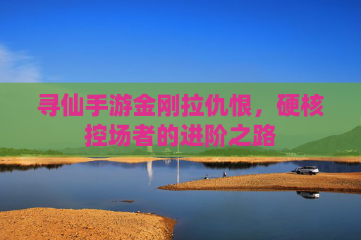寻仙手游金刚拉仇恨,硬核控场者的进阶之路