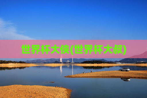 世界杯大侠(世界杯大叔)