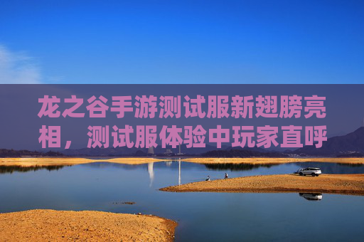 龙之谷手游测试服新翅膀亮相,测试服体验中玩家直呼这翅膀太炫了,设计细节拉满,属性加成超预期