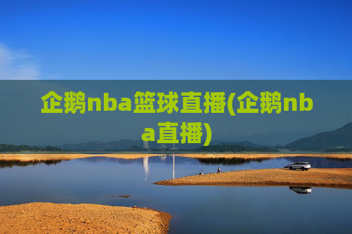 企鹅nba篮球直播(企鹅nba直播)