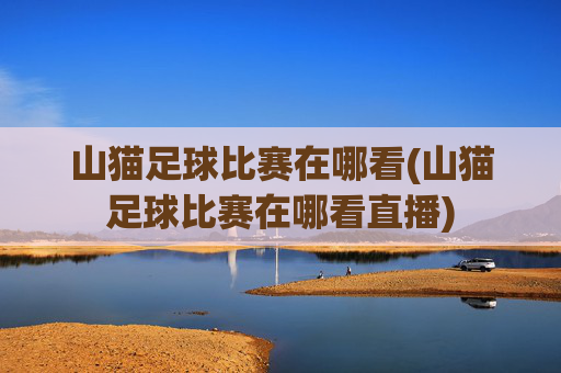 山猫足球比赛在哪看(山猫足球比赛在哪看直播)