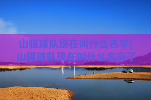 山猫球队现在叫什么名字(山猫球队现在叫什么名字了)