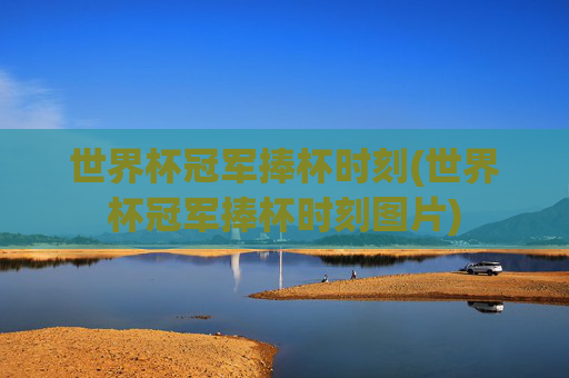 世界杯冠军捧杯时刻(世界杯冠军捧杯时刻图片)