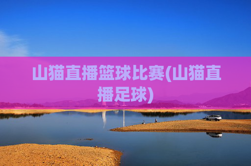 山猫直播篮球比赛(山猫直播足球)