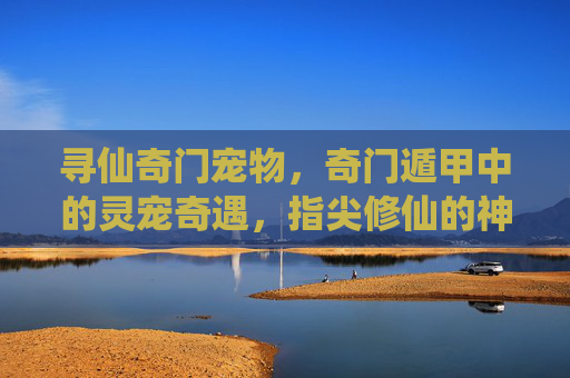 寻仙奇门宠物,奇门遁甲中的灵宠奇遇,指尖修仙的神秘伙伴