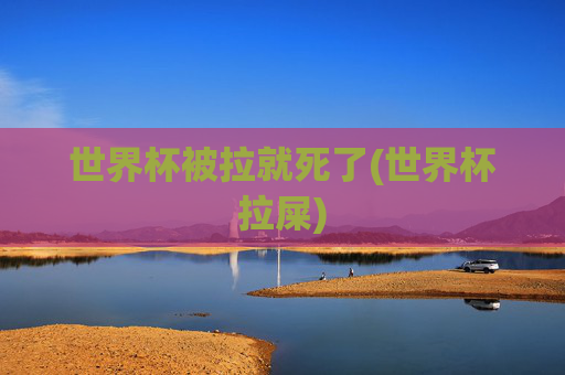 世界杯被拉就死了(世界杯拉屎)