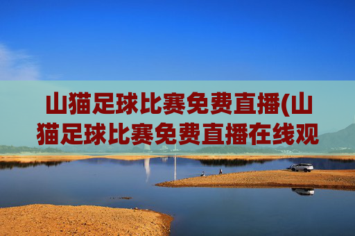 山猫足球比赛免费直播(山猫足球比赛免费直播在线观看)