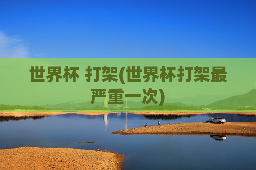 世界杯 打架(世界杯打架最严重一次)