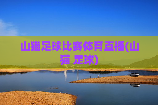 山猫足球比赛体育直播(山猫 足球)