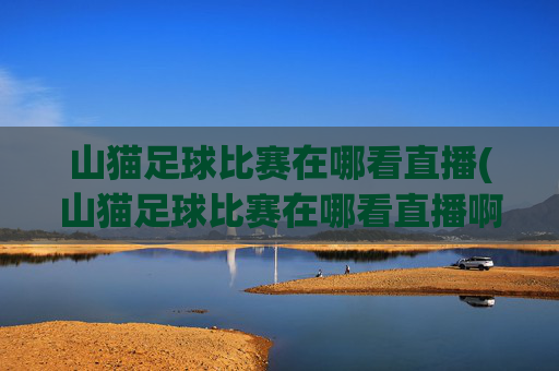 山猫足球比赛在哪看直播(山猫足球比赛在哪看直播啊)