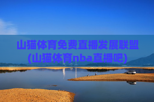 山猫体育免费直播发展联盟(山猫体育nba直播吧)