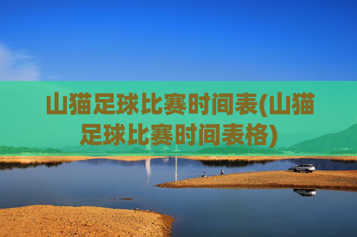 山猫足球比赛时间表(山猫足球比赛时间表格)