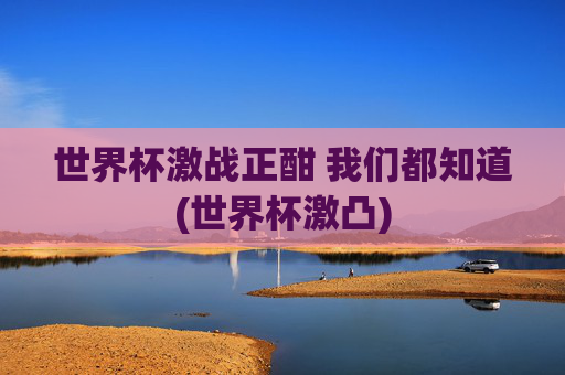 世界杯激战正酣 我们都知道(世界杯激凸)