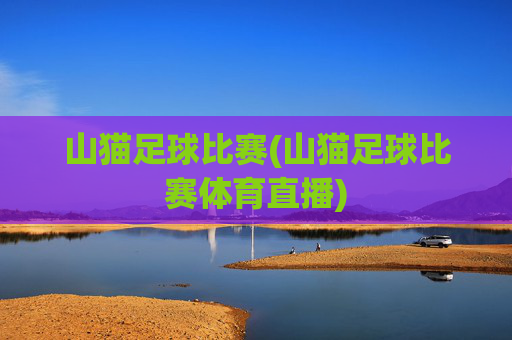 山猫足球比赛(山猫足球比赛体育直播)