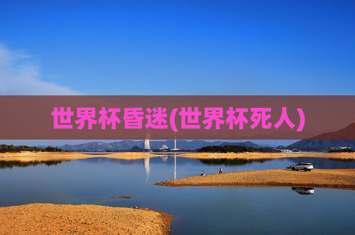 世界杯昏迷(世界杯死人)