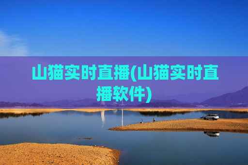 山猫实时直播(山猫实时直播软件)