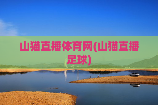 山猫直播体育网(山猫直播足球)