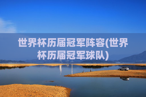 世界杯历届冠军阵容(世界杯历届冠军球队)
