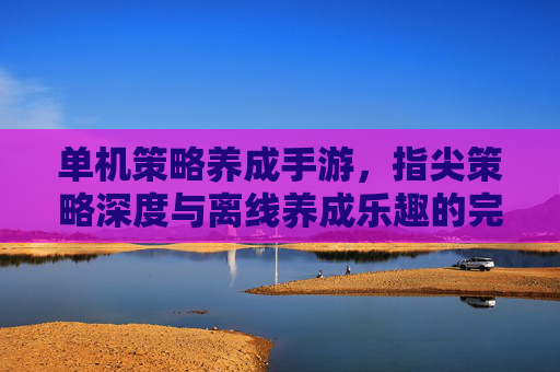 单机策略养成手游,指尖策略深度与离线养成乐趣的完美融合