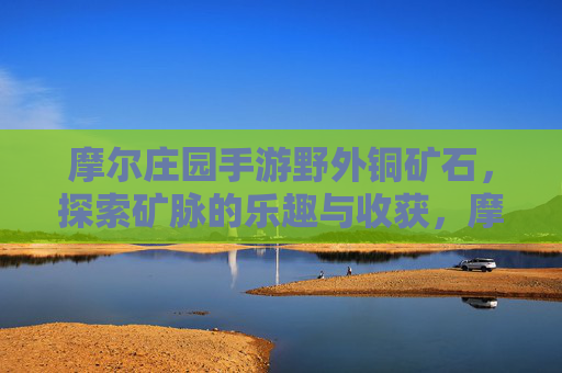 摩尔庄园手游野外铜矿石,探索矿脉的乐趣与收获,摩尔庄园手游野外铜矿石,探索矿脉的乐趣与收获