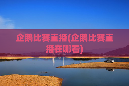 企鹅比赛直播(企鹅比赛直播在哪看)