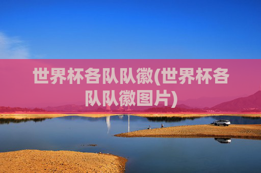 世界杯各队队徽(世界杯各队队徽图片)