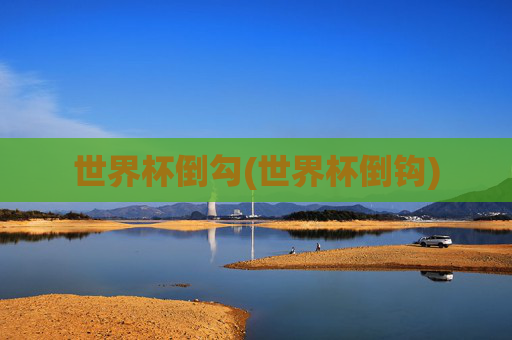 世界杯倒勾(世界杯倒钩)