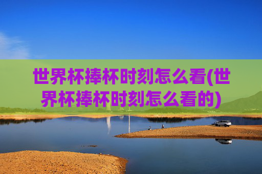 世界杯捧杯时刻怎么看(世界杯捧杯时刻怎么看的)