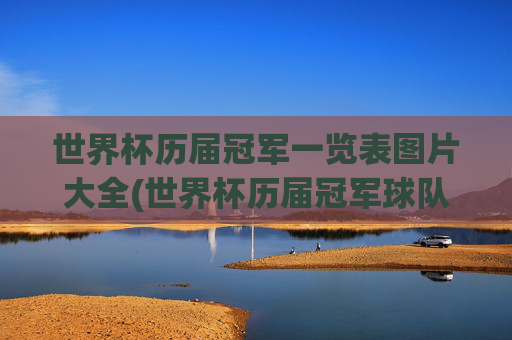 世界杯历届冠军一览表图片大全(世界杯历届冠军球队)