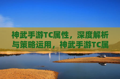神武手游TC属性，深度解析与策略运用，神武手游TC属性，深度解析与策略运用