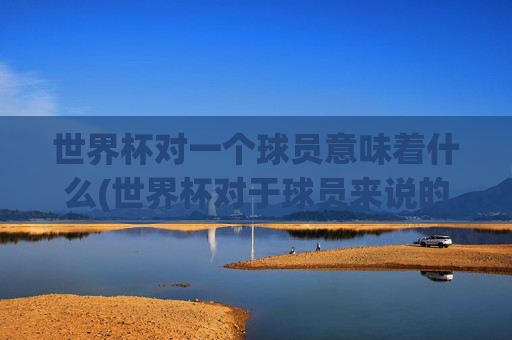 世界杯对一个球员意味着什么(世界杯对于球员来说的意义)