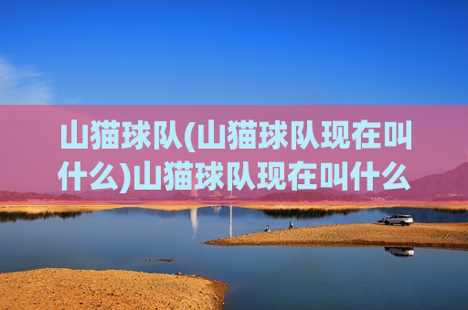 山猫球队(山猫球队现在叫什么)山猫球队现在叫什么（现役队名更新说明）