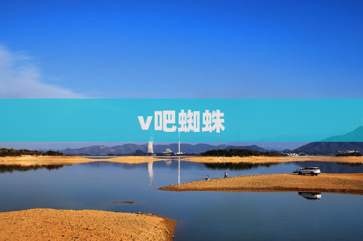 v吧蜘蛛