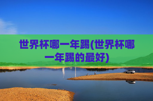 世界杯哪一年踢(世界杯哪一年踢的最好)