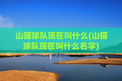 山猫球队现在叫什么(山猫球队现在叫什么名字)