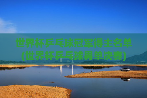 世界杯乒乓球冠军得主名单(世界杯乒乓球男单决赛)