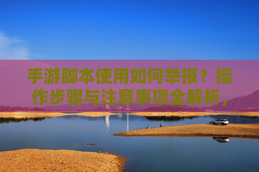 手游脚本使用如何举报？操作步骤与注意事项全解析，手游脚本使用如何举报？操作步骤与注意事项全解析