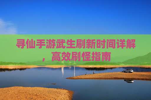 寻仙手游武生刷新时间详解，高效刷怪指南