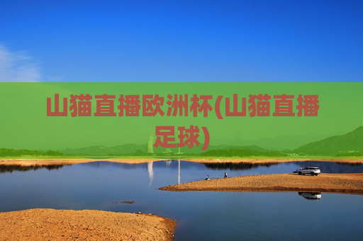 山猫直播欧洲杯(山猫直播足球)